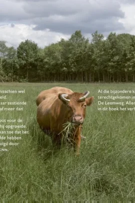 Alternative view of Het koeienparadijs