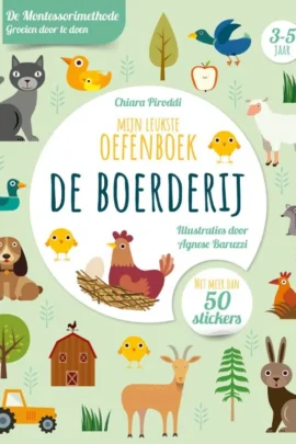 Mijn leukste oefenboek
