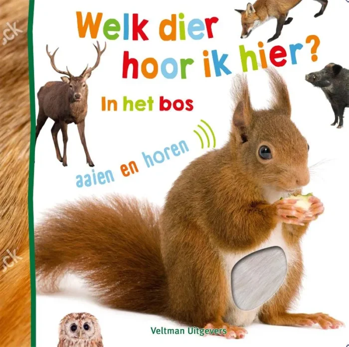 In het bos