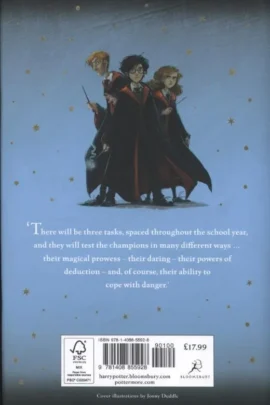 Alternative view of Harry Potter and the Goblet of Fire