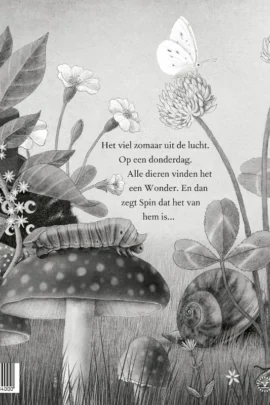 Alternative view of Het viel uit de lucht