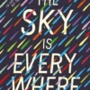 The Sky Is Everywhere | 9781529528794