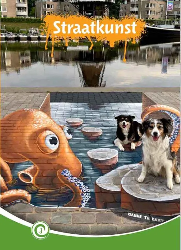 Straatkunst | 9789464390872 Straatkunst
