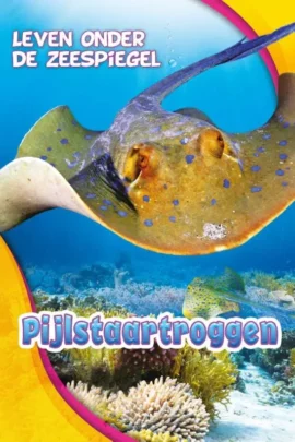 Pijlstaartroggen