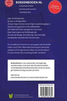 Alternative view of Het experiment