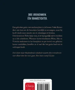 Alternative view of Je speelt met vuur