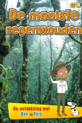 De mooiste regenwouden