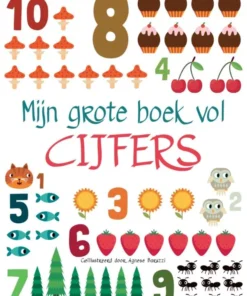 Mijn grote boek vol cijfers