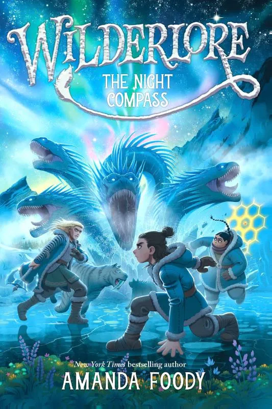 The Night Compass | 9781665910798 The Night Compass