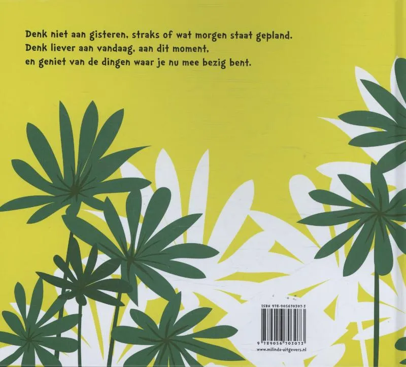 Aap en Panda | 9789056703073 Aap en Panda - Afbeelding 2