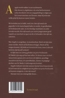 Alternative view of De castraat