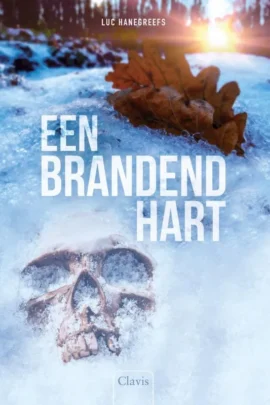 Een brandend hart