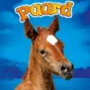 Paard | 9789463413190 Paard | 9789463413190