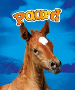 Paard