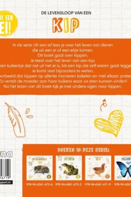 Alternative view of De levensloop van een kip