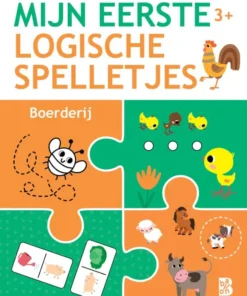 Ik leer logisch denken 8-9 jaar