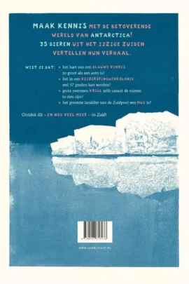 Alternative view of Zuid