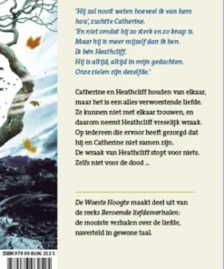 Alternative view of De woeste hoogte
