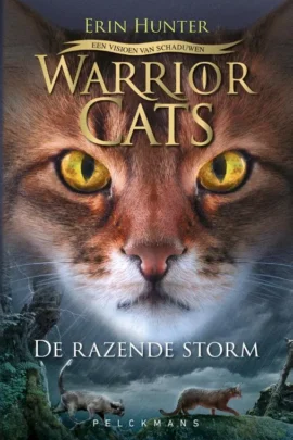 De razende storm