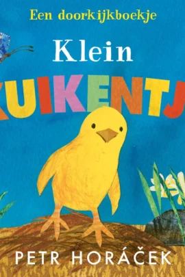 Klein kuikentje
