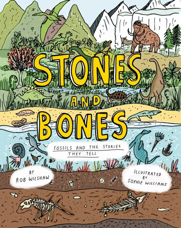 Stones and Bones