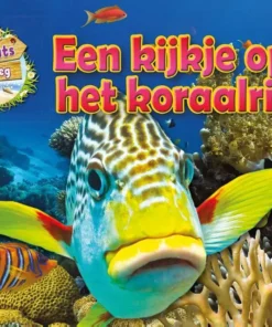 Een kijkje op het koraalrif