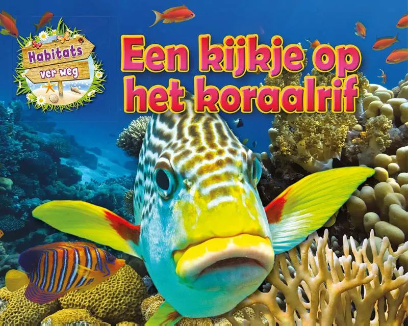 Een kijkje op het koraalrif | 9789464393408 Een kijkje op het koraalrif