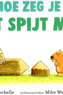 Hoe zeg je 'Het spijt me!'