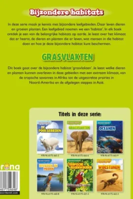 Alternative view of Grasvlakten