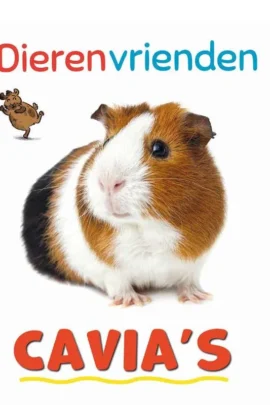 Cavia's