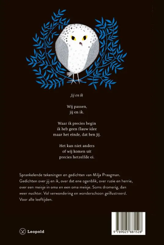 Magneetje | 9789025881528 Magneetje - Afbeelding 2