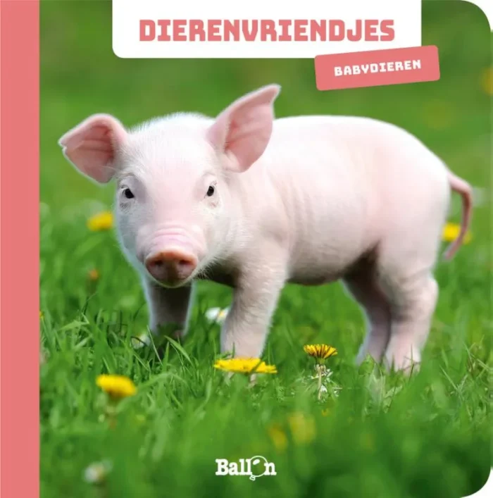 Babydieren