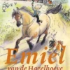 Emiel van de Hazelhoeve | 9789000316786