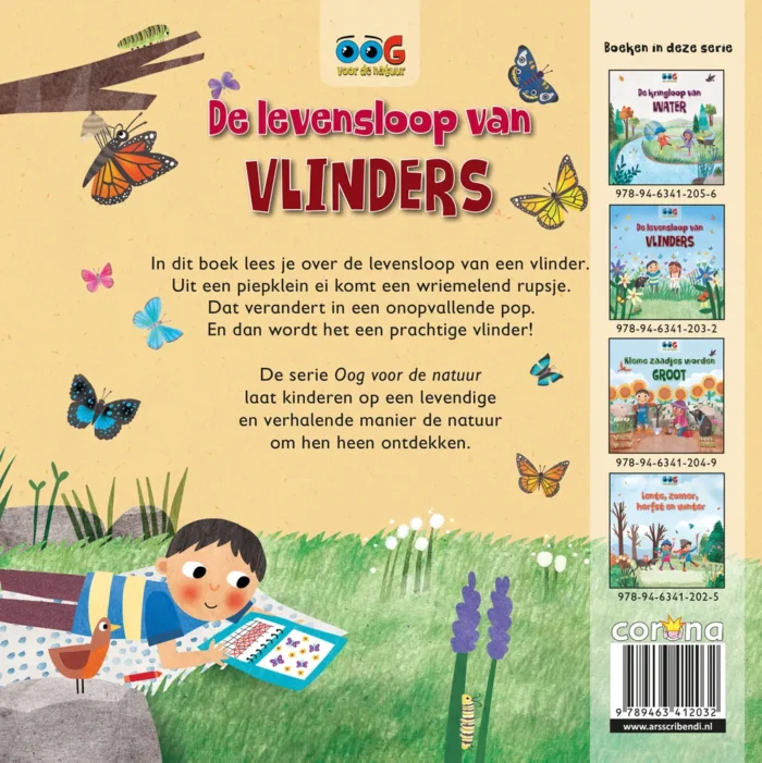 De levensloop van vlinders - Afbeelding 2