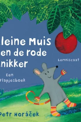 Kleine muis en de rode knikker