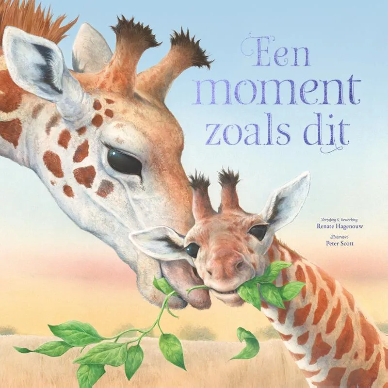 Een moment zoals dit | 9789036640886 Een moment zoals dit