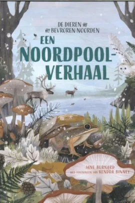 Een Noordpoolverhaal