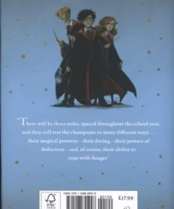 Alternative view of Harry Potter and the Goblet of Fire