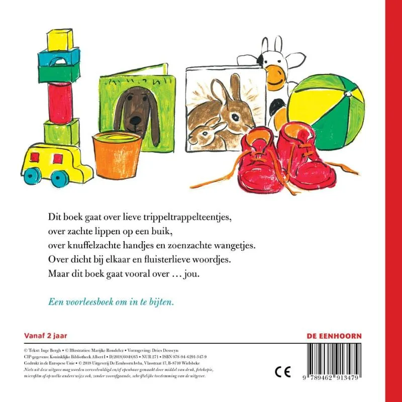 Dit boek gaat over jou | 9789462913479 Dit boek gaat over jou - Afbeelding 2