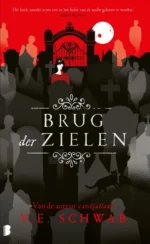 Brug der zielen | 9789021684949 Brug der zielen | 9789021684949