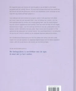 Alternative view of De kleine prins