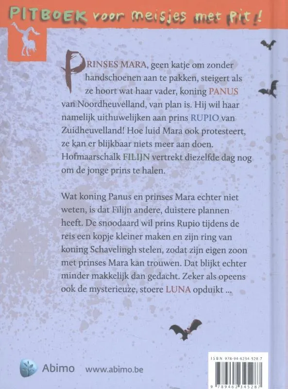 De ring van Koning Schavelingh | 9789462345287 De ring van Koning Schavelingh - Afbeelding 2