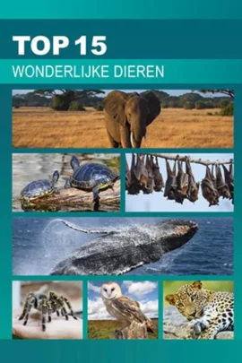 Wonderlijke dieren