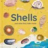 Shells... and what they hide inside - A Lift-the-Flap Adventure | 9781838667238