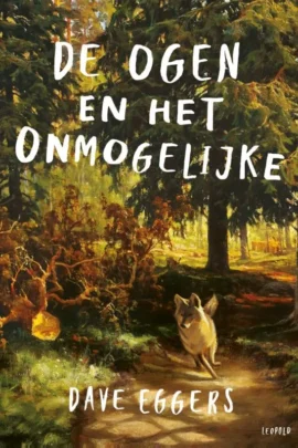 De ogen en het onmogelijke