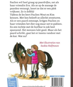 Alternative view of Paardrijden bij De Roskam