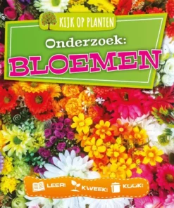 Bloemen