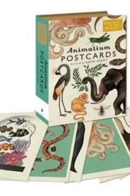 Animalium Postcards