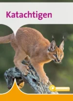 Katachtigen | 9789086649686