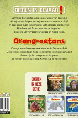Alternative view of Orang-oetans